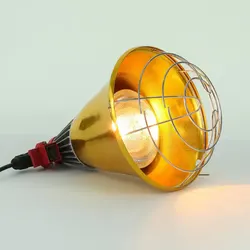 Ampoule chauffante infrarouge 250 W